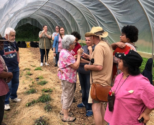 Collaboration for Conservation and Native Land Stewardship