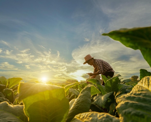 USDA Invests $50 Million in Partnerships to Improve Equity in Conservation Programs, Address Climate Change