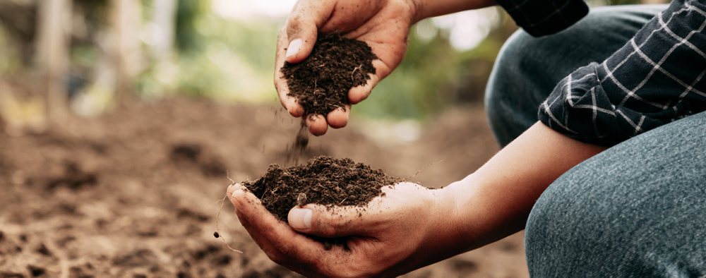 closeup of farmer handling soil