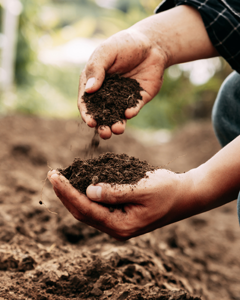 closeup of a farmer handling soil