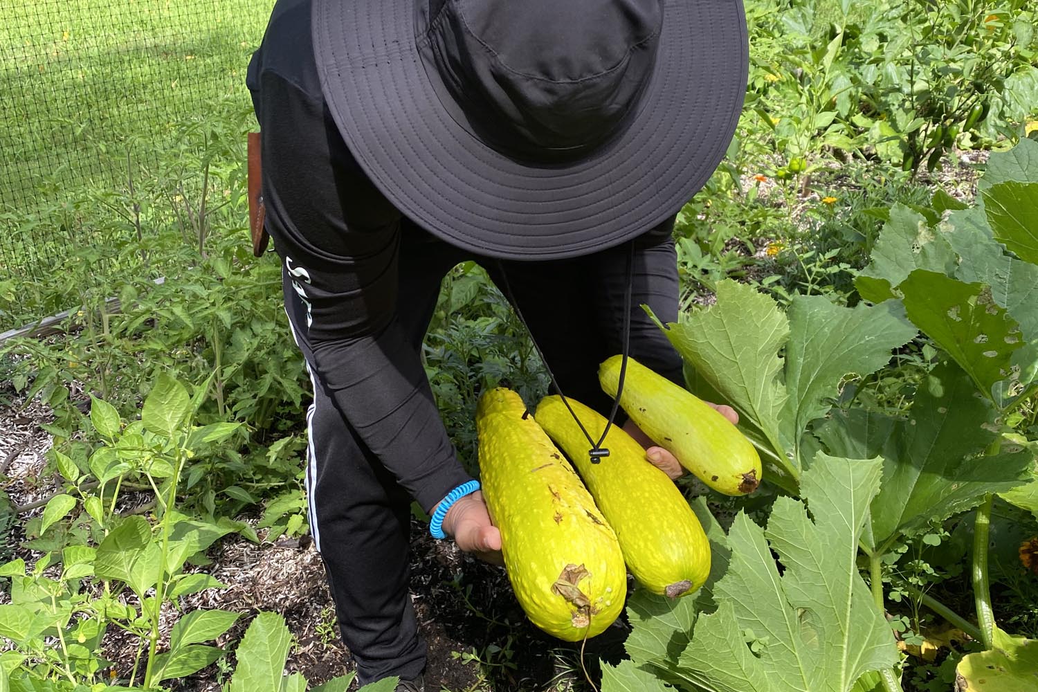 Pocasset Pokanoket Land Trust to partner with BankNewport for